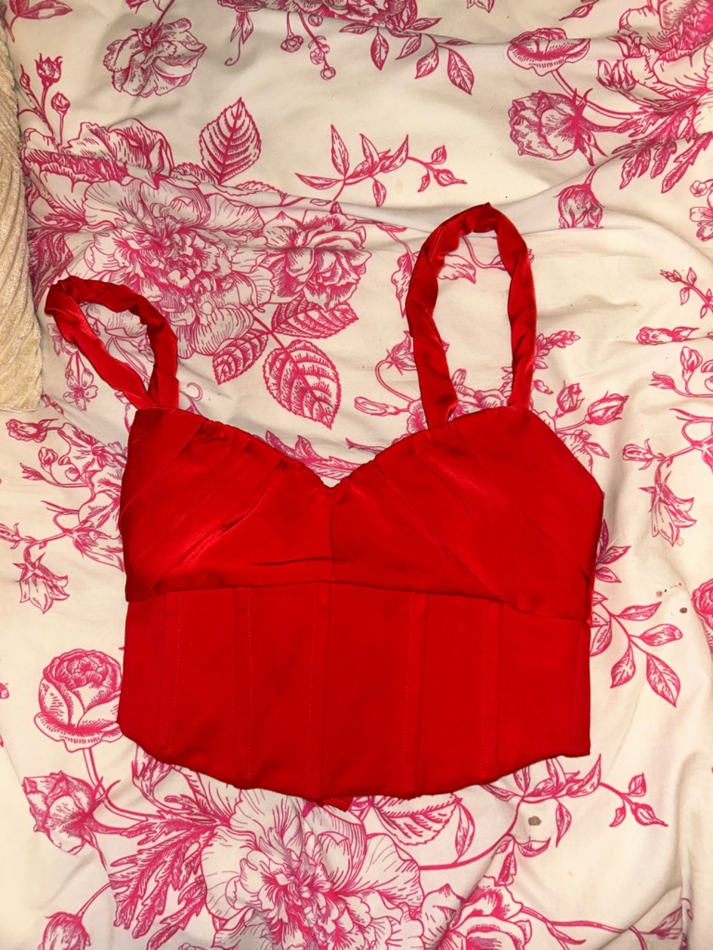 Lovers + Friends Red Bustier Crop Top